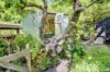 A photo of the property on Border Cottage, Main Street, Wolston